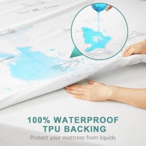 HUXMEYSON Queen Mattress Protector, Fully Waterproof Mattress Protector, Breathable and Noiseless Mattress Cover with 8-21 Deep Pocket, 60 x 80 Inch