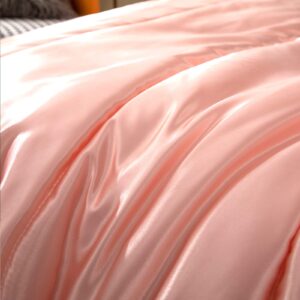 Satin Comforter Queen Silk Like Satin Comforter Down Alternative Comforter Soft Polyester Filling Silky Bed Comforter Pink Girls Comforter 1 Comforter 2 Pillowcase (Queen, Pink)