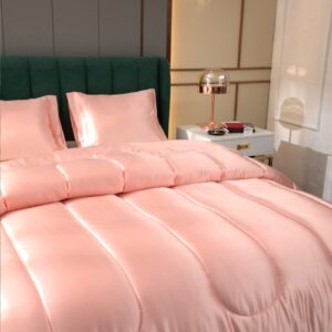 Satin Comforter Queen Silk Like Satin Comforter Down Alternative Comforter Soft Polyester Filling Silky Bed Comforter Pink Girls Comforter 1 Comforter 2 Pillowcase (Queen, Pink)