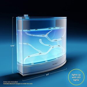 Light-up Ant Farm Terrarium Kit for Kids – LED Habitat for Live Ants with Nutrient Rich Gel - Watch Ants Dig Their Own Tunnels - Nature Learning, Science Toys, Experiment Gift for Boys & Girls