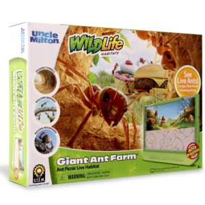 Uncle Milton Giant Ant Farm - Large Viewing Area - Care for Live Ants - Nature Learning Toy - Science DIY Toy Kit - Great Gift for Boys & Girls, Green