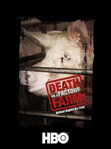 death on a factory farm