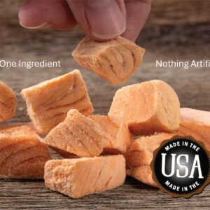 Whole Life Pet Just One Salmon - Cat Treat Or Topper - Human Grade, Freeze Dried, One Ingredient - Protein Rich, Grain Free, Made in The USA