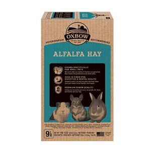 Oxbow Animal Health Alfalfa Hay - All Natural Hay for Young, Pregnant, or Nursing Small Pets - 9 lb.