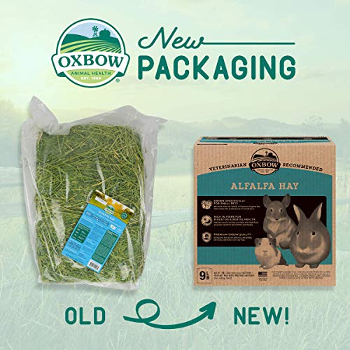 Oxbow Animal Health Alfalfa Hay - All Natural Hay for Young, Pregnant, or Nursing Small Pets - 9 lb.