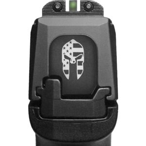 NDZ Performance Slide Cover Back Plate for Sig P365 P365X P365 XL P365 X Macro P365 Fuse 9mm .380 Laser Engraved Aluminum in Black - US Flag