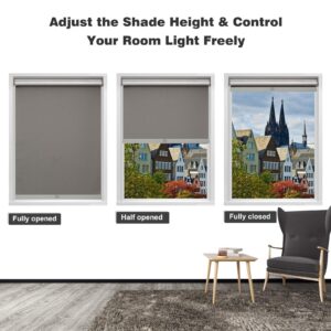 MYshade Blackout Roller Shades for Windows, Cordless Roller Window Shades, Roll Up Window Blinds with Thermal Insulated, UV Protection, Easy to Install for Home and Office, 30" X 72"(Grey)