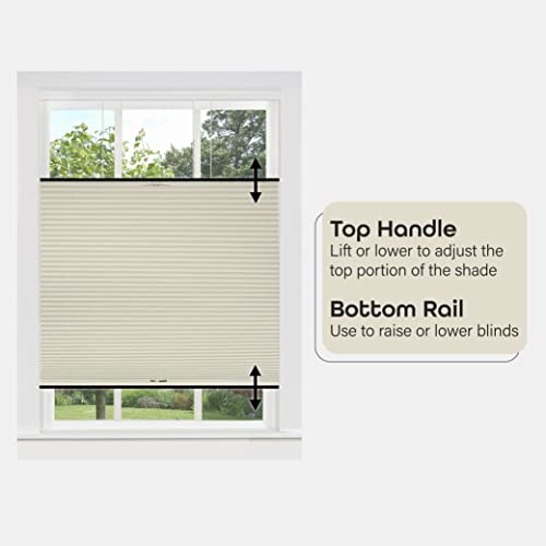 Cordless Cellular Pleated Window Shades - 29 Inch Width, 64 Inch Length - Alabaster - Light Filtering Top-Down Honeycomb Pull Down Blinds for Windows and Skylights by Achim Home Decor