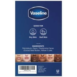 Vaseline Lip Therapy Cocoa Butter Mini, White Petrolatum, Advanced Moisturizer, Relieves Dull and Dry Skin, Mini Vaseline Petroleum Jelly, Soft & Smooth Vaseline Lips (Pack of 6-0.25 Oz Ea)