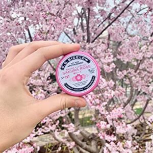 C.O. Bigelow All Purpose Salve Lip Balm Tins, Sakura Rose Salve Pack of 3 for Chapped Lips & Dry Skin - Moisturizing Lip, Cuticle and Skin Salves, 0.8 oz each