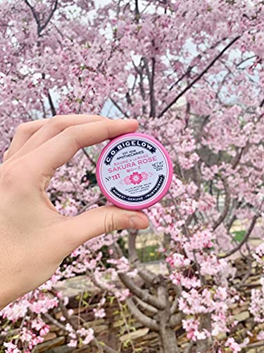 C.O. Bigelow All Purpose Salve Lip Balm Tins, Sakura Rose Salve Pack of 3 for Chapped Lips & Dry Skin - Moisturizing Lip, Cuticle and Skin Salves, 0.8 oz each