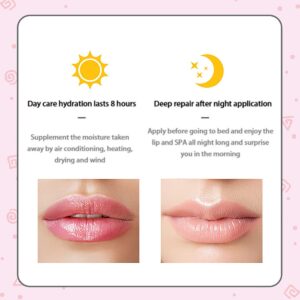 Alisesun 2Pcs Crystal Jelly Lip Oil Moisturizing Hydrating Lip Care Hydrating Lip Gloss Tinted Lip Balm, Long Lasting & Nourishing Lip Glow Oil, Non-sticky Fresh Texture