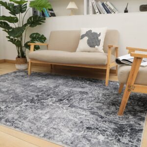 Area Rug Living Room Rugs: 5x7 Indoor Abstract Soft Fluffy Pile Large Carpet with Low Shaggy for Bedroom Dining Room Home Office Decor Under Kitchen Table Washable - Retro Gray