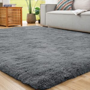 ROCYJULIN 5x7 Rug for Living Room, Area Rugs 5x7 for Bedroom, Non-Slip Carpet for Dorm Room, Fluffy Shag Rug for Playroom, Fuzzy Rug for Kids Room, Dark Grey Gray Rug