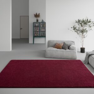 DweIke Large Vine Red Modern Area Rugs for Bedroom Living Room, 5x7 ft Thickened Memory-Foam Indoor Carpets, Minimalist Style Carpet Suitable for Boys Girls and Adults with Fluffy Touch, Washable