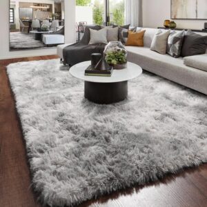 Amdrebio Tie-dyed Light Grey Area Rug for Bedroom, Soft Shag Furry Rug 5x7 for Living Room, Fluffy Fuzzy Rugs for Kids Room Decor, Modern Shaggy Carpet for Classroom Office, Plush Indoor Rug