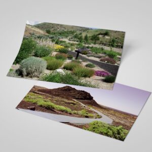 Dear Mapper Vintage United States Idaho Landscape Postcards Pack 20pc/Set Postcards from Around the World Greeting Cards for Business World Travel Postcard for Mailing Decor Gift