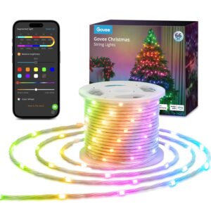 Govee 66ft String Lights, Smart RGBIC Rope Lights Indoor with 99+ Preset Scene Modes, IP65 Waterproof Christmas LED Lights Outdoor, Sync with Music, Works with Alexa, Holiday Home Party Decoration