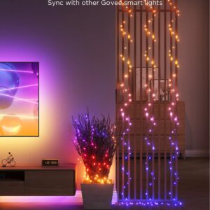 Govee 66ft String Lights, Smart RGBIC Rope Lights Indoor with 99+ Preset Scene Modes, IP65 Waterproof Christmas LED Lights Outdoor, Sync with Music, Works with Alexa, Holiday Home Party Decoration