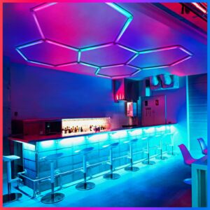 24 Pack Remote Hexagon Lights,RGB Garage LED Panel Light,358 Modes,IP54,LED Ceiling Lights for Party,Gaming