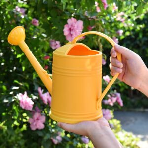 OKREK Watering Can Indoor Watering Cans for House Plants, Small Watering Can Indoor Plants, Plant Watering Can for Outdoor Plants Garden Flower (1/2 Gallon, Red)