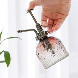 Glass Plant Mister Spray Bottle, 6.3inch Tall Vintage Plant Spritzer Watering Can, Succulent Watering Bottle with Top Pump, Plant Mister Glass Watering Garden Tool (Brown Clear Gradient)