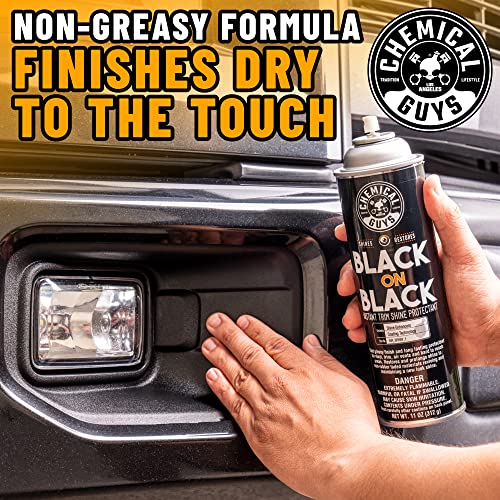 Chemical Guys AIR_SPRAY_1 Black On Black Instant Trim Shine Exterior Spray Dressing & Protectant, (Safe for Cars, Trucks, SUVs, RVs, & More) 11 fl oz