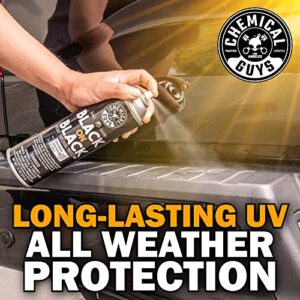 Chemical Guys AIR_SPRAY_1 Black On Black Instant Trim Shine Exterior Spray Dressing & Protectant, (Safe for Cars, Trucks, SUVs, RVs, & More) 11 fl oz