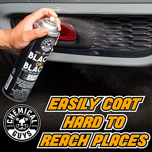 Chemical Guys AIR_SPRAY_1 Black On Black Instant Trim Shine Exterior Spray Dressing & Protectant, (Safe for Cars, Trucks, SUVs, RVs, & More) 11 fl oz