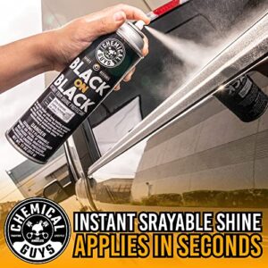 Chemical Guys AIR_SPRAY_1 Black On Black Instant Trim Shine Exterior Spray Dressing & Protectant, (Safe for Cars, Trucks, SUVs, RVs, & More) 11 fl oz