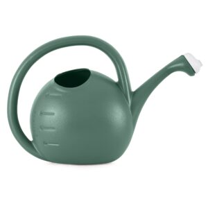 the hc companies 2 gallon plant watering can - large plastic garden water pot with dual spray options for indoor outdoor plants flower, green