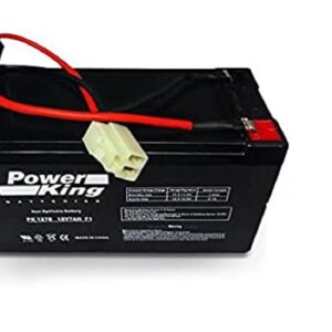 Beiter DC Power Razor E90Version 3 and Up Power Core E95, Razor Spider-Man Power Core E90 Accelerator Scooter Replacement Battery W13111401003,W13111409003