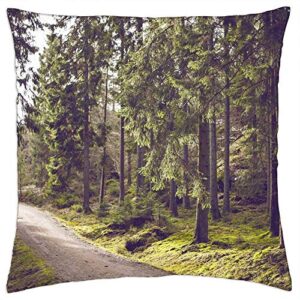 lesgaulest throw pillow cover (16x16 inch) - woods outdoors trees trail path trek forest