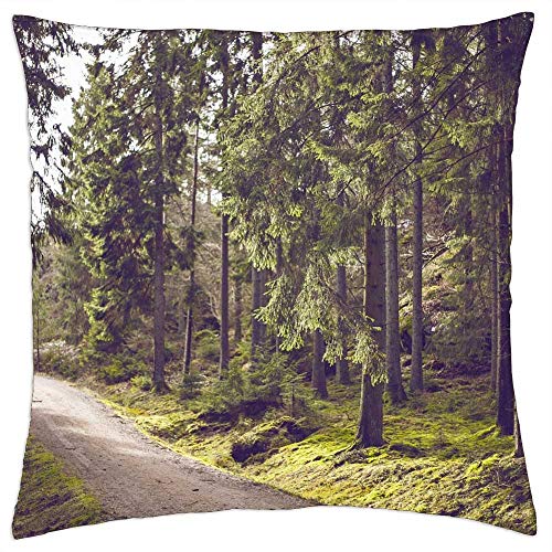 LESGAULEST Throw Pillow Cover (16x16 inch) - Woods Outdoors Trees Trail Path Trek Forest