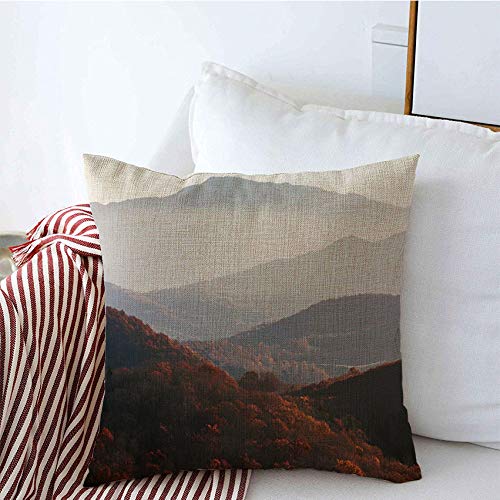 Decorative Pillow Covers Autumn Grayson Highlands State States Park Trek Jefferson Nature Parks Valley Outdoor Wilderness Throw Pillow Covers Sofa Bench Couch Summer Decor 20x20 Inch