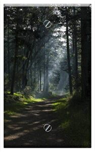 single-gang blank wall plate cover - nature woods forest road trek trees green leaves
