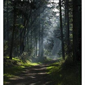 Single-Gang Blank Wall Plate Cover - Nature Woods Forest Road Trek Trees Green Leaves