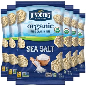 lundberg organic rice cake minis, original sea salt – mini rice cakes, healthy snacks for adults and kids, vegan snacks, gluten-free, healthy food for snacking & dipping, 5 oz (pack of 6)