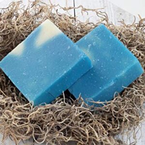 360Feel Men's Cool Water Cologne Soap -Large 5oz Organic Castile Handmade Soap bar -Bold Masculine fragrance- Pure Essential Oil Natural Soaps- Made in USA