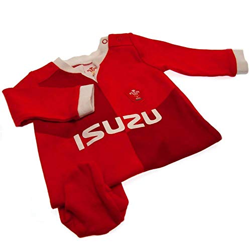 Wales RU Sleepsuit 9/12 mths QT