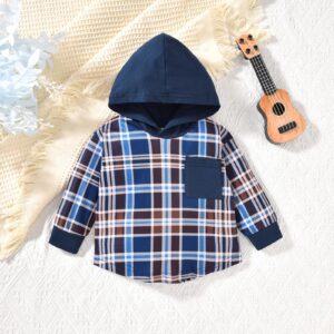 HINTINA 3T Toddler Little Boy Plaid Sweatsuit Outfits Long Sleeve Hooded Sweatshirt Hoodie Fall Winter Clothes Clothing Set 3-4T