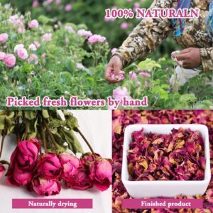 SACATR Dried Flowers, 50 Bags 100% Natural Dried Herbs Kit for Soap Making, Candle, Resin Jewelry Making, Bath, Nail - Include Rose Petals, Rosebuds, Lilium, Jasmine, Don't Forget Me and More