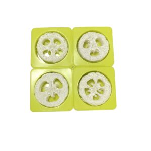 Natural Loofah Soap Making Kit Mold Includes 4pcs 1" Loofah Slices Cuts and Round Silicone Soap Mold