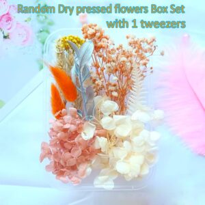 Dried Pressed Flowers Mixed Box for Resin Random, with 1 Tweezers, Real Natural Dry Mixed Flowers Leaves Bulk Herbs Kit for Scrapbooking DIY Art Crafts, Nail, Candle, Soap Making