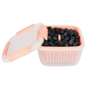 shopwithgreen 50oz Berry Keeper Container, Fruit Produce Saver Food Storage Containers with Removable Drain Colanders, Vegetable Fresh Keeper Set | Refrigerator Organizer