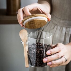 Glass Jars with Wooden Lid and Spoon, Airtight Food Storage Containers for Sugar/Coffee/Flour/Spices, Set of 3 Clear Stackable Kitchen Canisters, Ideal for Home Organization Decor (18Oz/530ML)