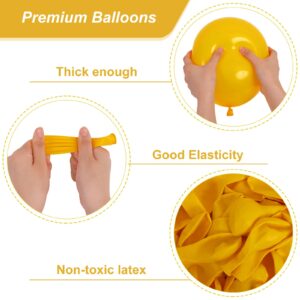 RUBFAC 65pcs Retro Yellow Latex Balloons, 12 Inches Helium Party Balloons with Ribbon for Wedding, Birthday, Graduation, Baby Shower, Bridal Shower