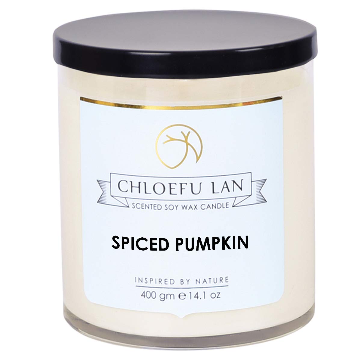 Chloefu LAN Farmhouse Spiced Pumpkin Candle Fall Candles Large Jar, 100% Natural Soy Candle for Home Scented,Highly Scented,100 Hours Long Burning Candle, 14.1Oz, Glass Jar Candle Gifts for Halloween