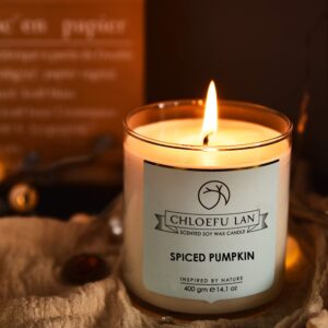 Chloefu LAN Farmhouse Spiced Pumpkin Candle Fall Candles Large Jar, 100% Natural Soy Candle for Home Scented,Highly Scented,100 Hours Long Burning Candle, 14.1Oz, Glass Jar Candle Gifts for Halloween