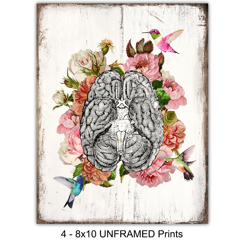 Human Anatomy Floral Hummingbird Wall Art Poster Set - 8x10 Rustic Heart, Brain, Lungs for Doctor, Medical Office, Living Room, Bedroom - Shabby Chic Goth Gift for ER Nurse Practitioner, RN, CNA